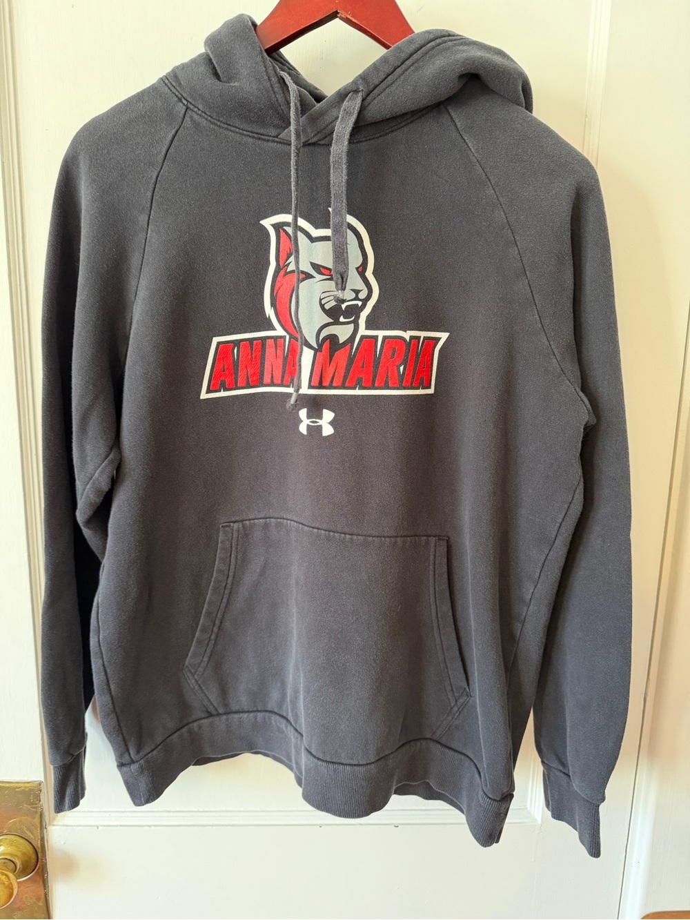 Under Armour Men's Anna Maria Hooded Sweatshirt in Charcoal Gray